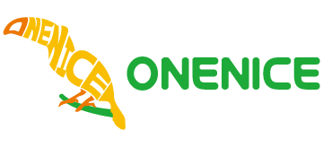 Onenice Internaional Co., Ltd.